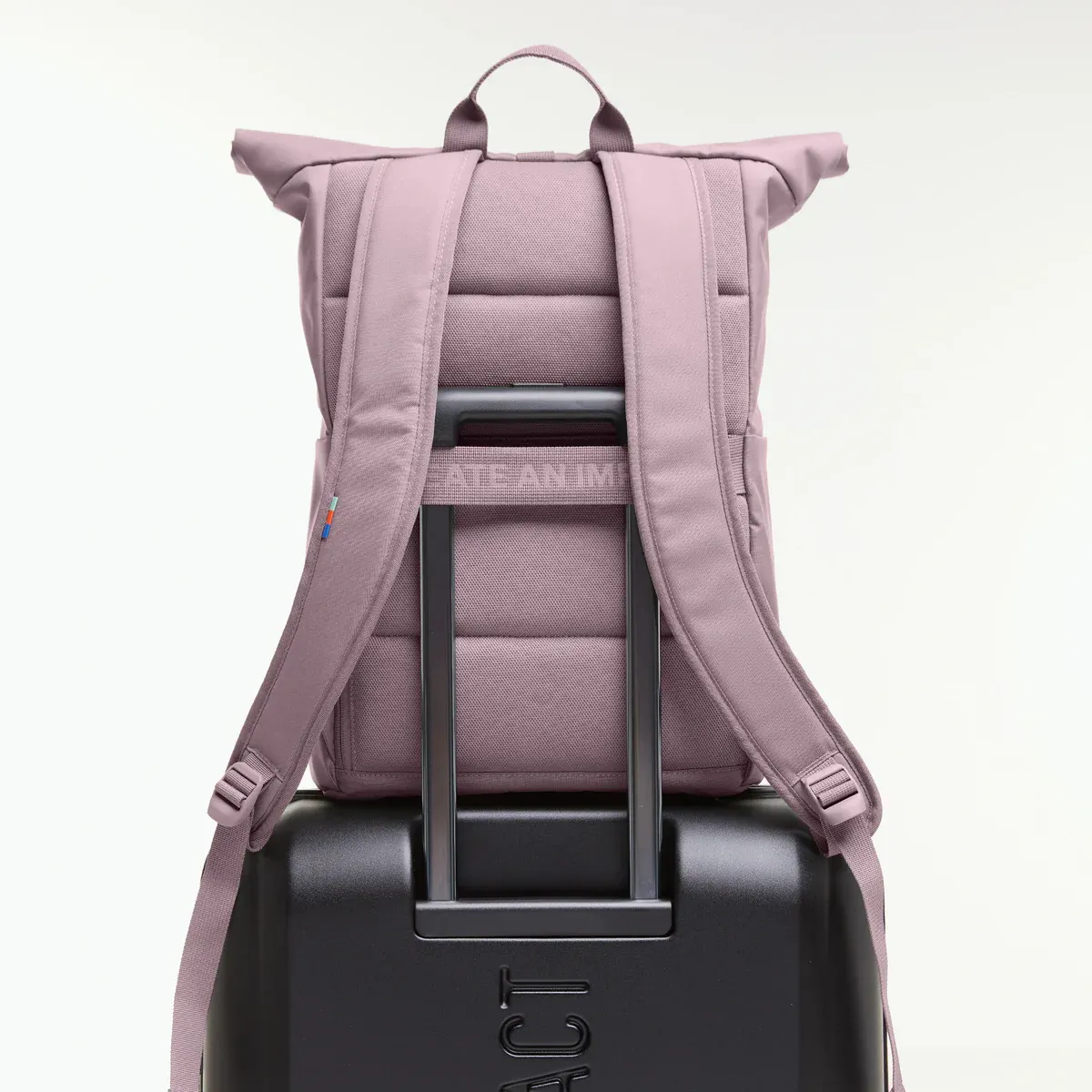 GOT BAG Rolltop Easy Calamary – back view 1 | sustainable | Bag-Age