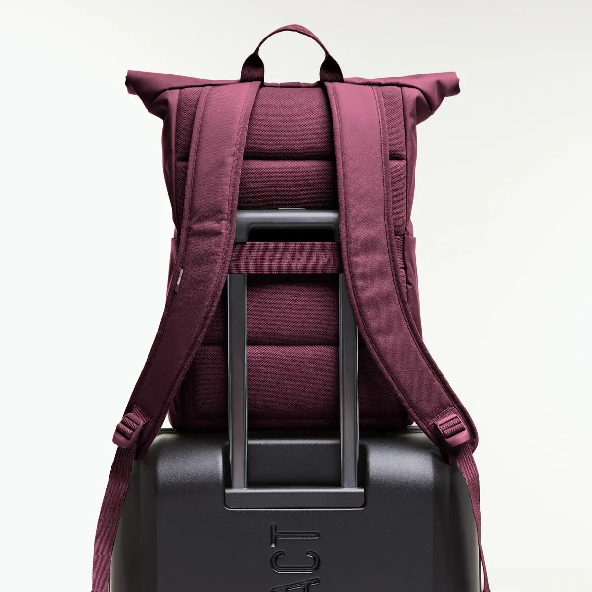 GOT BAG Rolltop Easy Kraken Monochrome – Rückansicht 1 | nachhaltig | Bag-Age